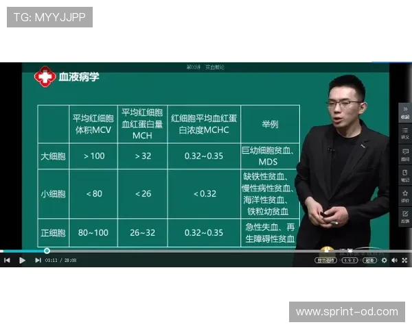勒沃库森密集赛程考验板凳深度卫冕之路迎新挑战 勒沃库森密集赛程考验板凳深度卫冕之路迎新挑战